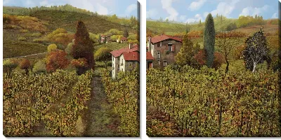 Картина Виноградник в Италии №5