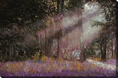 Картина Луч солнца в лесу