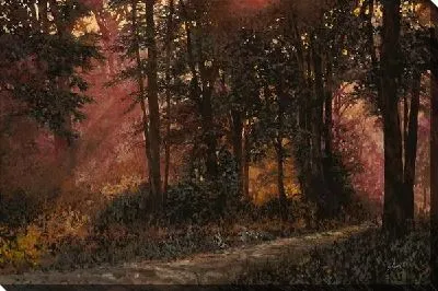 Картина Луч солнца в лесу