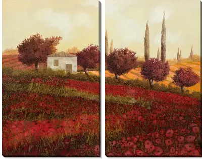 Маковое поле в Тоскане