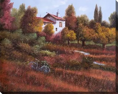 Картина Велосипед в поле