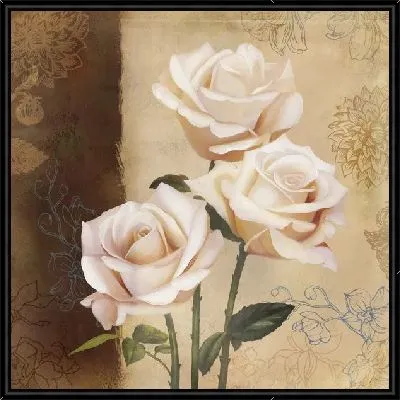 Розы кремового цвета