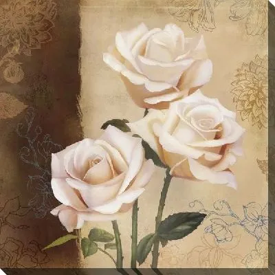 Розы кремового цвета