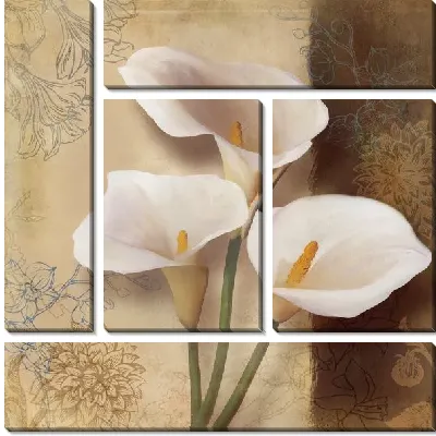 Каллы кремового цвета