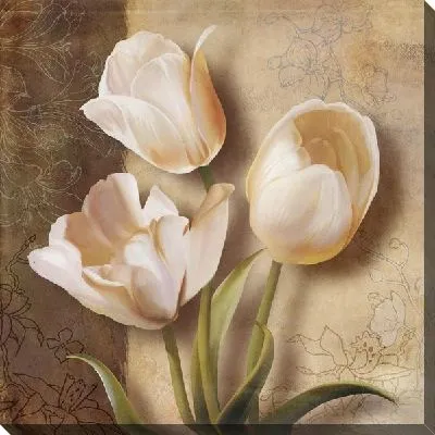 Тюльпаны кремового цвета