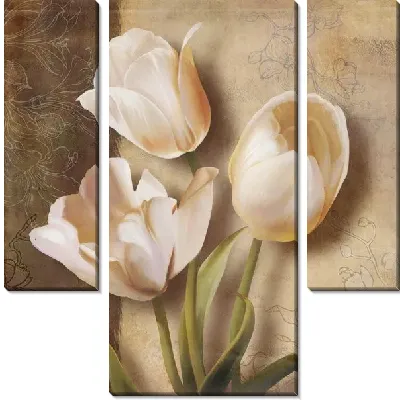 Тюльпаны кремового цвета