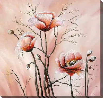 Маки розовые