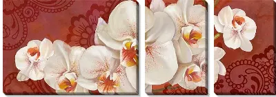 Модульная картина Орхидеи белые