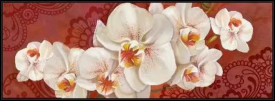 Картина Орхидеи белые