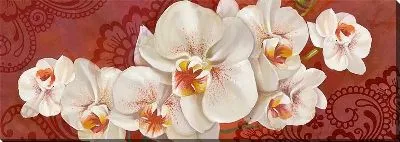 Картина маслом Орхидеи белые