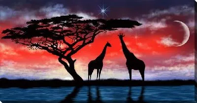 Постер Африканский пейзаж ночью