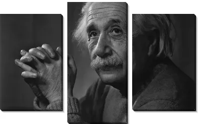 Модульная картина Альберт Эйнштейн №2