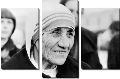 Мать Тереза №2