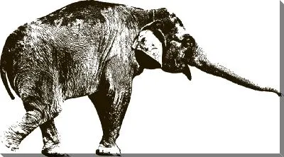 Постер Слон №8