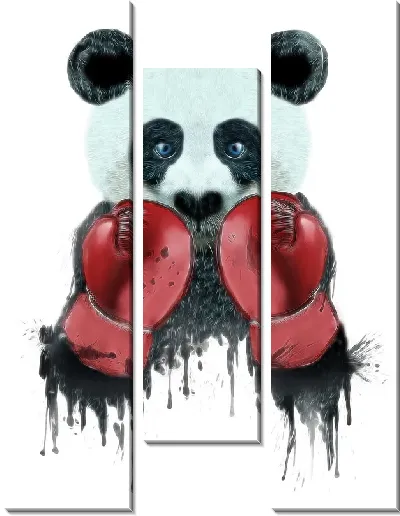 Модульная картина Панда боксер
