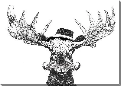 Лось в шляпе