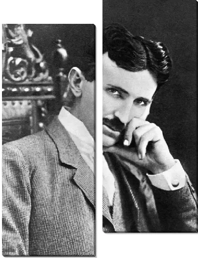 Модульная картина Тесла Никола