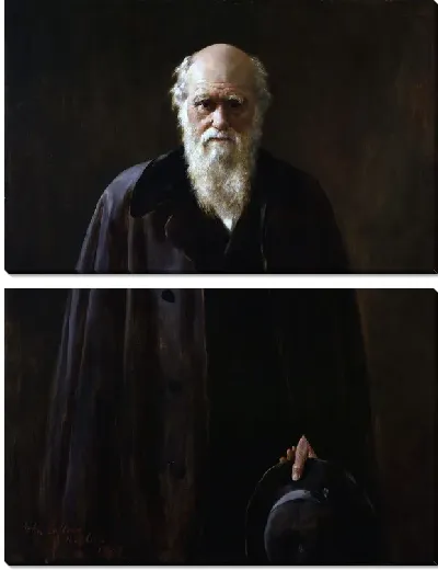 Модульная картина Дарвин Чарлз №2