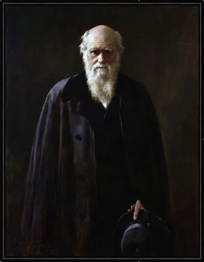 Картина Дарвин Чарлз №2