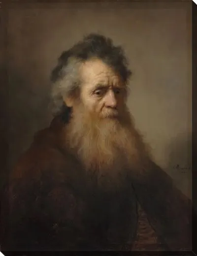 Картина Портрет старика (1632)