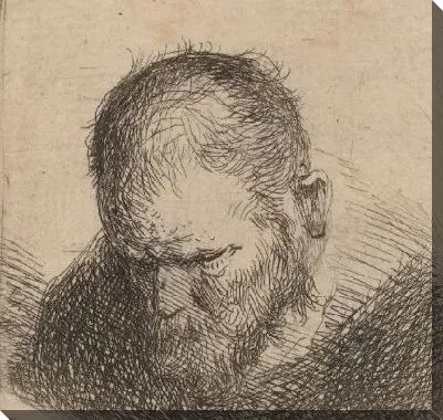 Картина Бородатый мужчина смотрит вниз (1631)