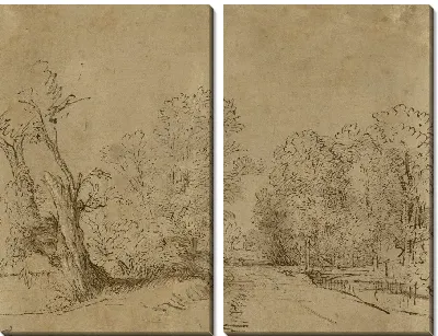 Картина Лесная дорога (1650)