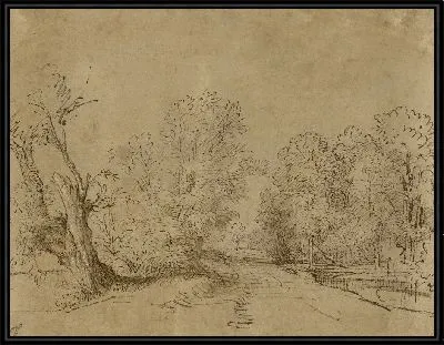 Картина Лесная дорога (1650)