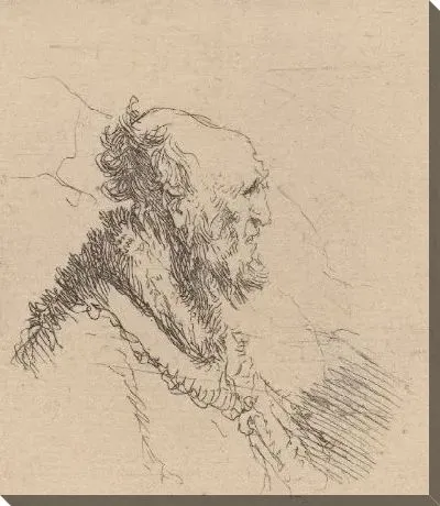 Картина Лысый старик с короткой бородкой в профиль (1635)