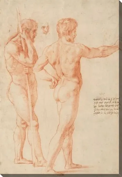 Картина Ню (1515)