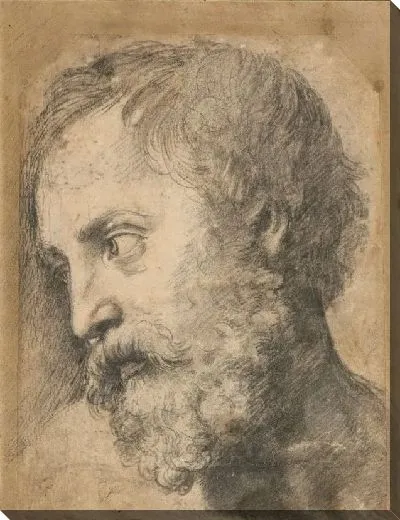 Картина "Голова апостола в ""Преображении Господнем"" (1519-1520)"