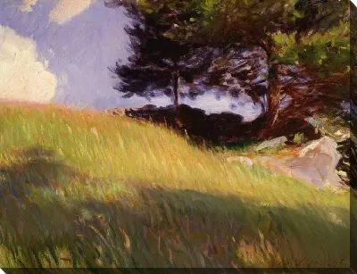 Картина Недалеко от улицы, июнь, штат Массачусетс (1890)