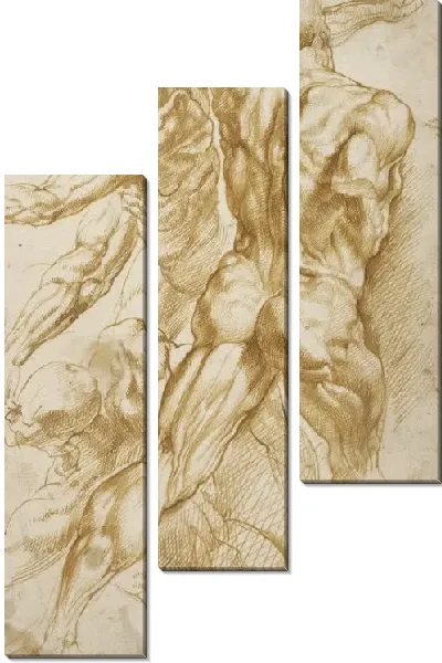 Картина Анатомия (1600-1605)