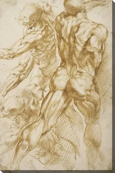 Картина Анатомия (1600-1605)