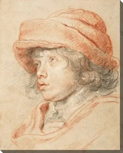 Картина Сын Рубенса Николас в красной войлочной шапке (1625-1627)