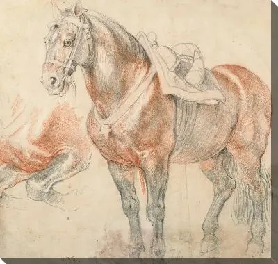 Картина Оседланная лошадь (1615-1618)