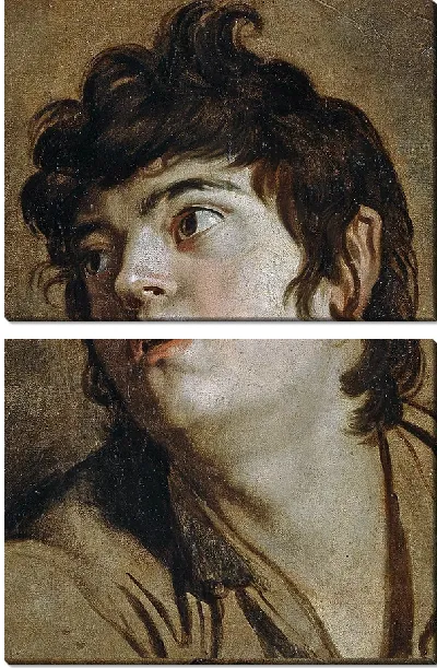 Картина Голова молодого человека (1601-1602)