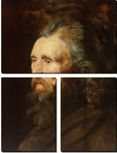 Картина Голова человека (1616-1619)