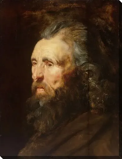 Картина Голова человека (1616-1619)