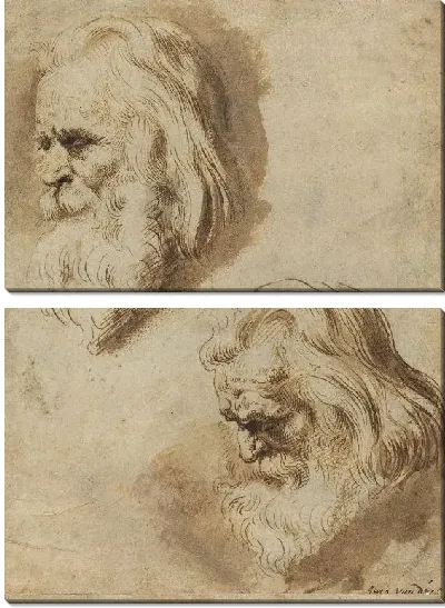 Картина Две головы пожилого мужчины (1603-1658)