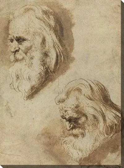 Картина Две головы пожилого мужчины (1603-1658)