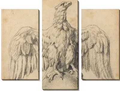 Картина Капитолийский орел (1601-1602)