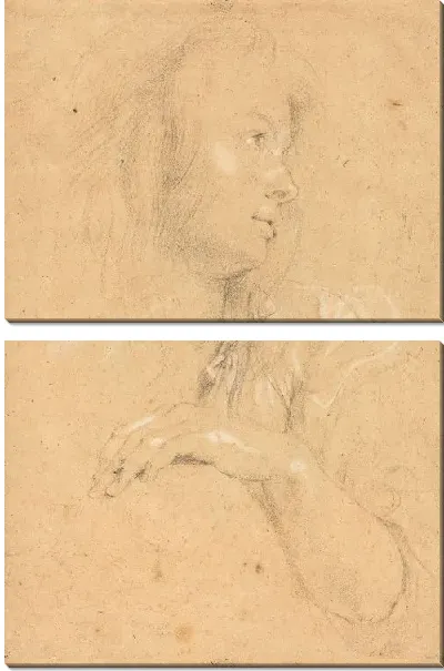 Картина Молодая женщина в профиль (1613)