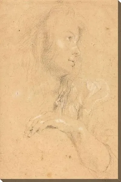 Картина Молодая женщина в профиль (1613)