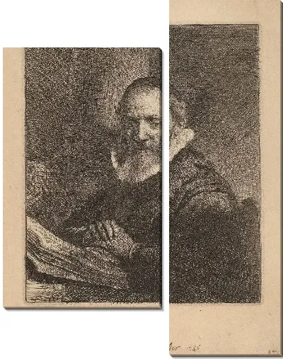 Картина Ян Корнелиус Сильвиус (1633)