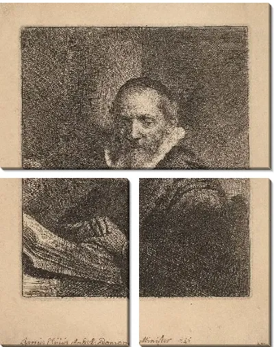 Картина Ян Корнелиус Сильвиус (1633)
