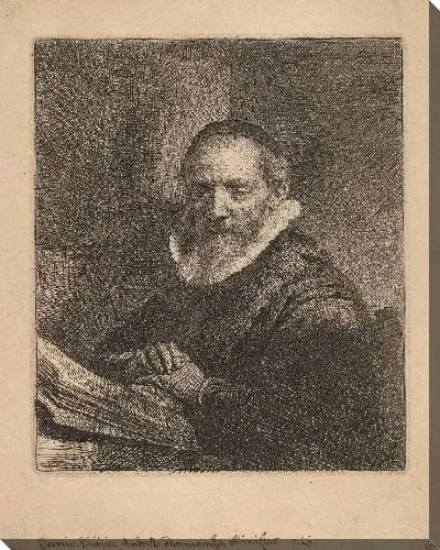 Картина Ян Корнелиус Сильвиус (1633)