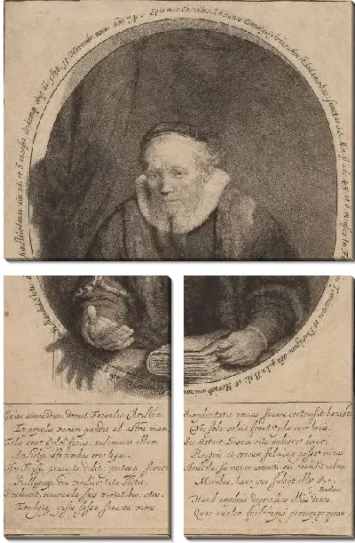 Картина Ян Корнелиус Сильвиус (1633)