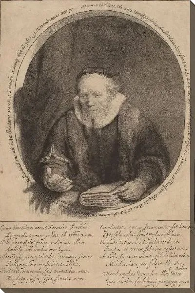 Картина Ян Корнелиус Сильвиус (1633)