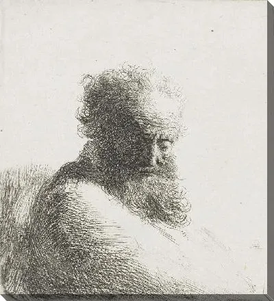 Картина Старый, бородатый человек , склонивший голову вниз (1631)