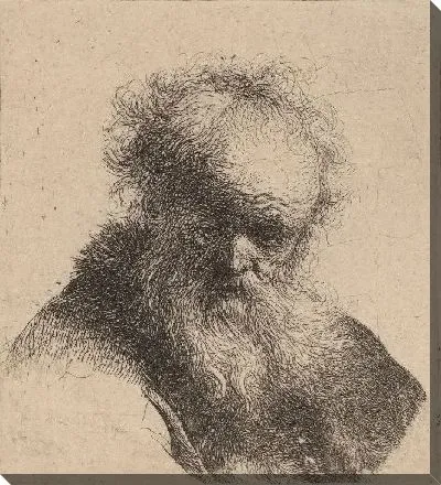 Картина Бюст старика с бородой (1630)